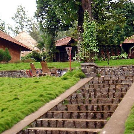 Hotel Misty Woods Дхарамсала Екстериор снимка