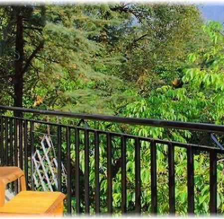 Hotel Misty Woods Дхарамсала Екстериор снимка